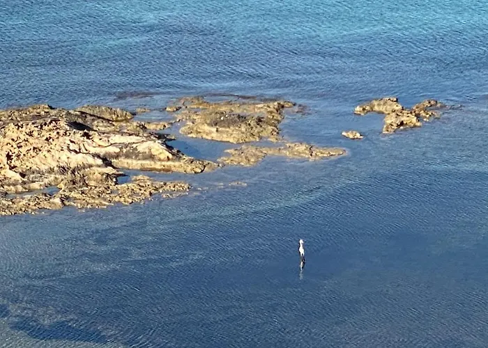 Apartament Veneziola Paradise, & Gym La Manga del Mar Menor